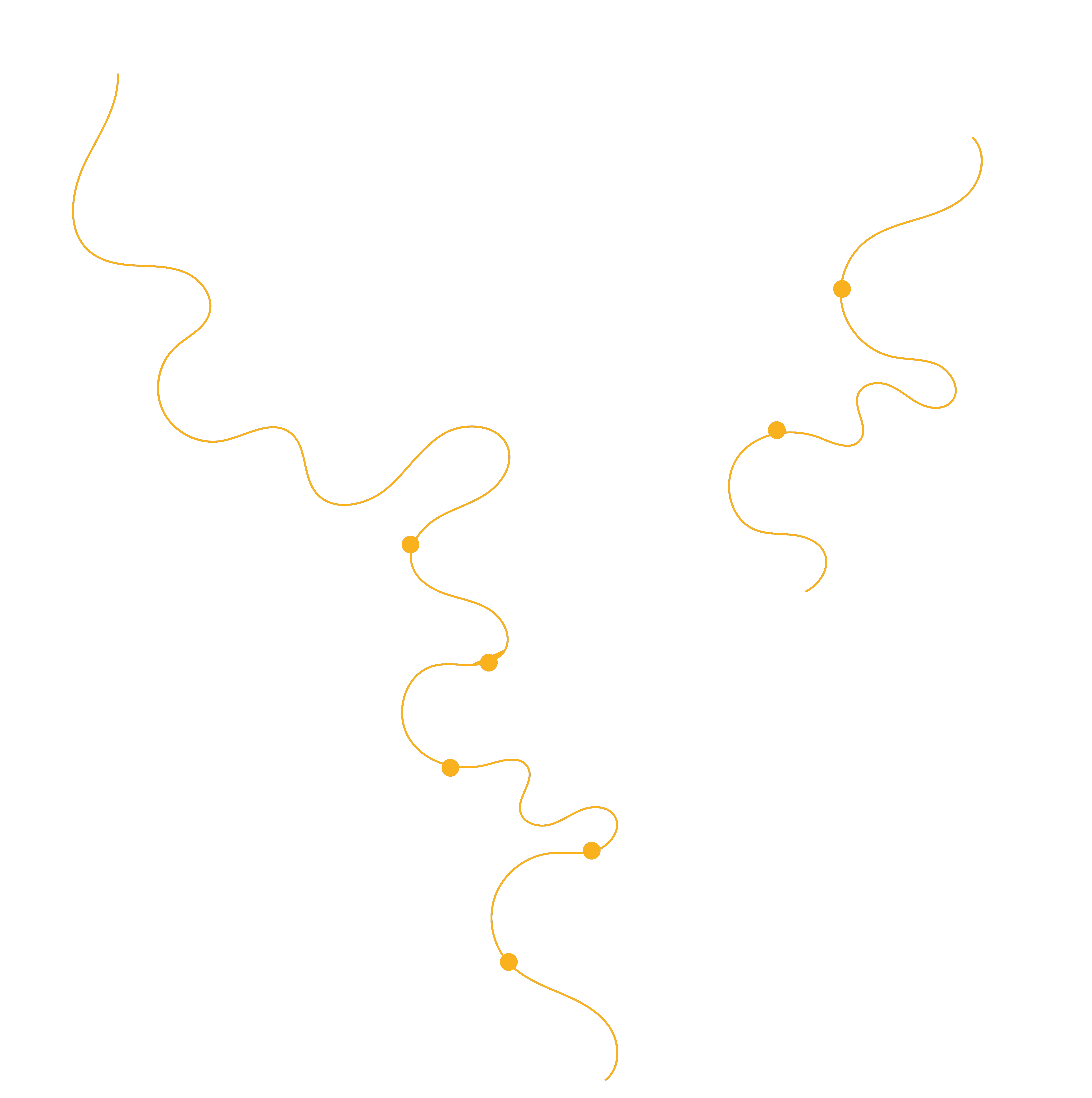 services map